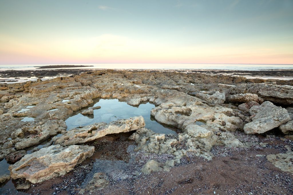 Puerto Lobos AMP Argentina